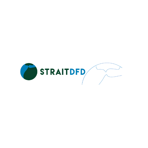 Strait DFD